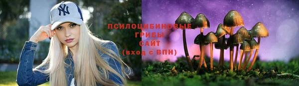 стаф Козельск