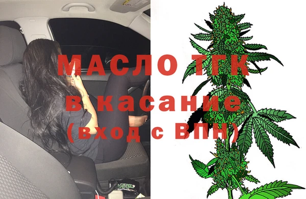 гидра Слюдянка