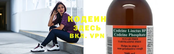 стаф Козельск