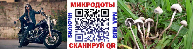 Галлюциногенные грибы Psilocybe  нарко площадка наркотические препараты  Липецк 